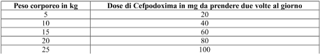 PROXEDOX 40 mg /5 ml granulato per sospensione orale